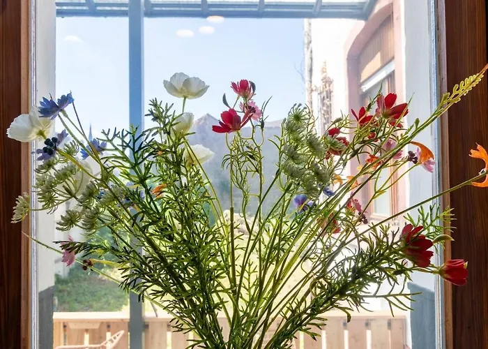 Apartamento Stylish Old With Terrace In *